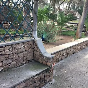 Quarto em Acomodações Particulares 16 Porto Santo